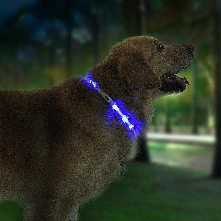 Xiaomi dog collar top