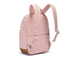 Спина рюкзака Pacsafe Go 15L Sunset Pink