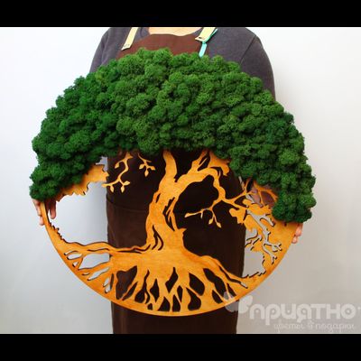 Живая Эко-Картина 1071