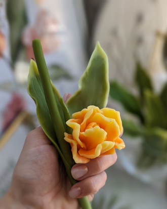 Стебель тюльпана с листом