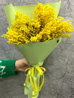 Охапка мимозы S