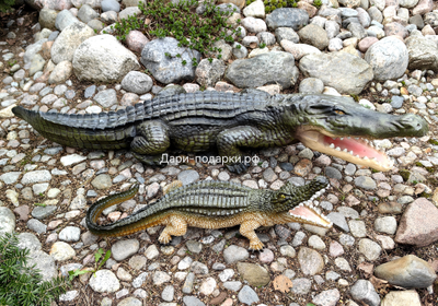 Крокодил 15*40см   1,2кг   полистоун Россия 1844/012457*
