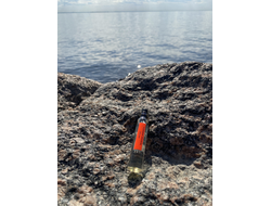 Масло АККОРД: МУЖСКАЯ НЕЖНОСТЬ, 11 мл