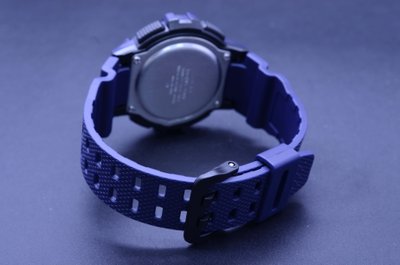 Часы Casio WS-1200H-2A