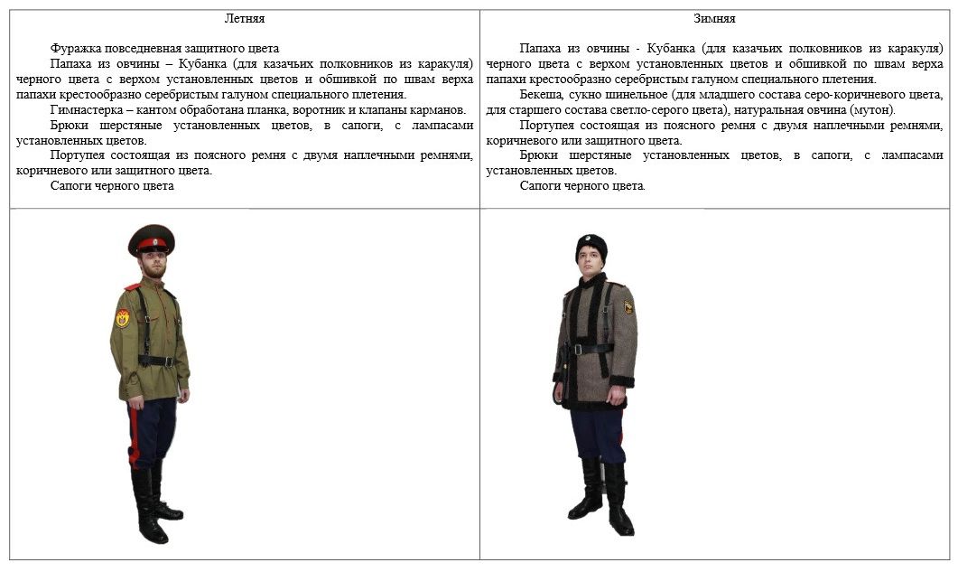 Повседневная форма одежды казаков. Положение о папах. Форма сибирского казачьего войска современная. Процессуальное положение третьих лиц в гражданском процессе. Процессуальные положения участников процесса.
