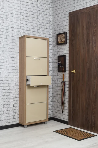 Обувница Айрон-4 Плюс (фасад стекло Капучино)