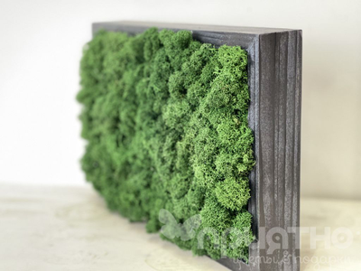 ЖИВАЯ ЭКО-КАРТИНА 1055