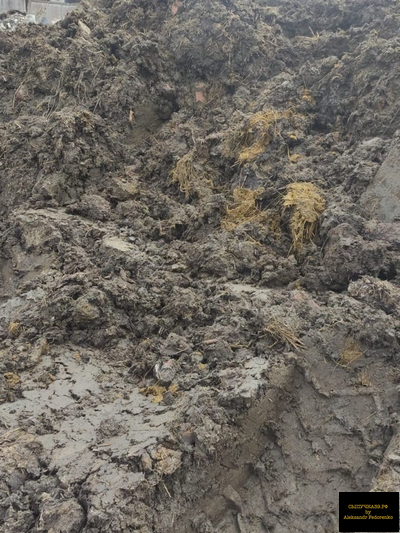 коровий навоз перегной