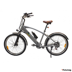 Электровелосипед GreenCamel Санта (R26 500W 48V 10Ah) серый