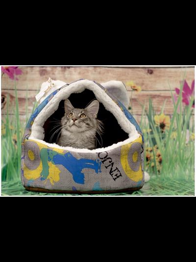 ДОМ “ПУШОК”