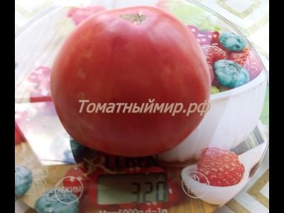 Томат Король Кинг