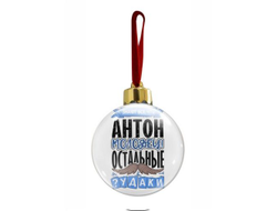 Новогодний ёлочный шар #4 Антон