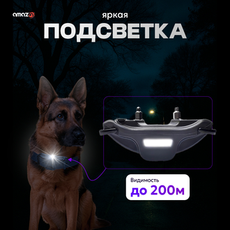 Электронный ошейник для собак DT4200