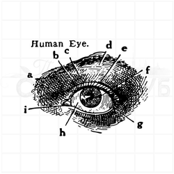 винтажный штамп глаз