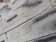 Декоративный облицовочный камень под сланец  Kamastone Рифей 4901, белый с темно-серыми фрагментами