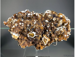 Халцедон почки, опал, на яшмовидной породе. Россия. 155*95*50мм