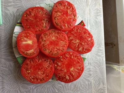 Томат Сладкая свекла (Dulcea de Fagaras), Италия