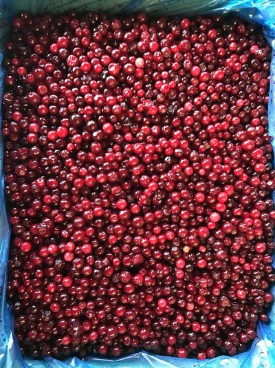 БРУСНИКА ШОКОВОЙ ЗАМОРОЗКИ 1КГ