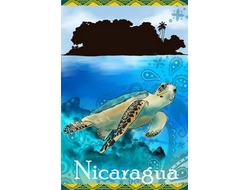 NICARAGUA SHG (Никарагуа) 1000 гр Arabica 100%