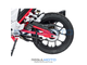 Regulmoto Raptor new