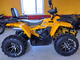 MOTOLAND ATV 200 WILD TRACK X PRO