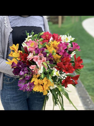 Альстромерия