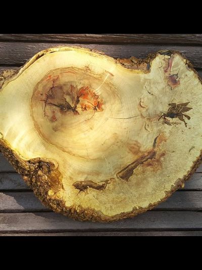 спилы с логотипом