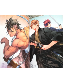 Оригинальный Арт Бук  Shokugeki no Soma - Last Fan Book (Повар-боец Сома)