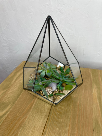 Флорариум, размер М