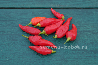 Перец Острый  Turks Cap, 10 шт