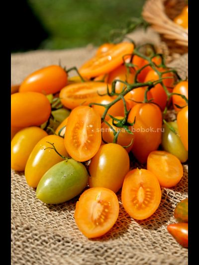 Томат Märchengold (Сказочное Золото), 10 шт