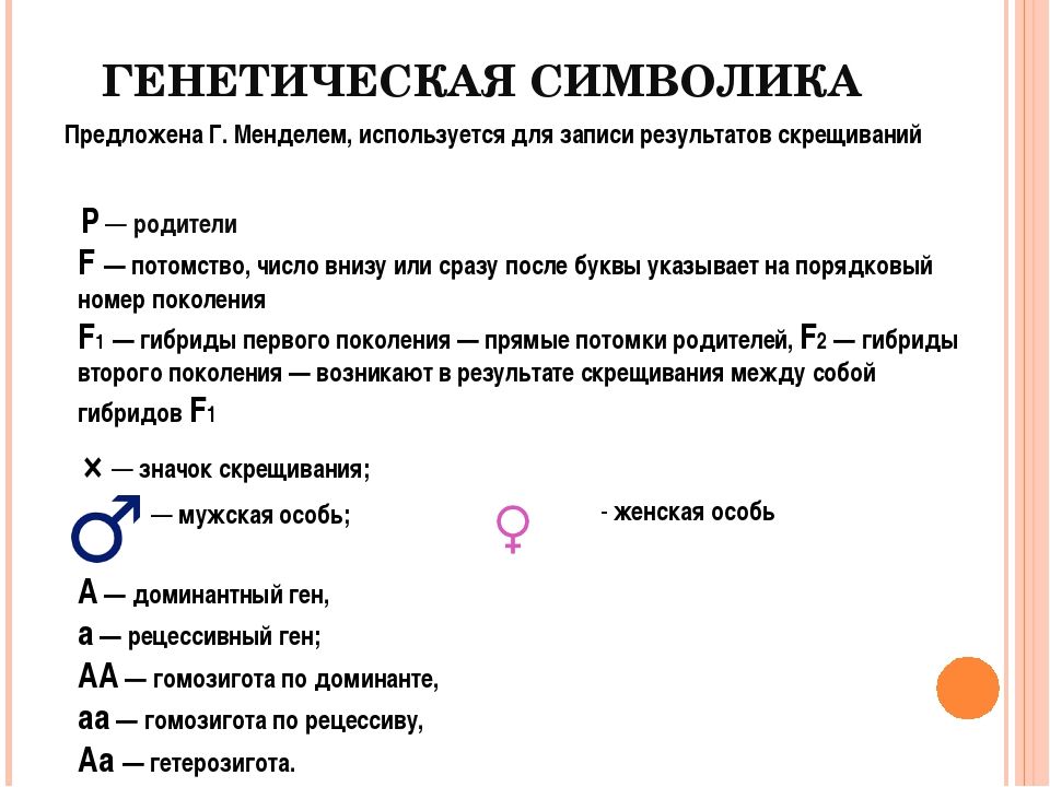 Генетика проект 9 класс