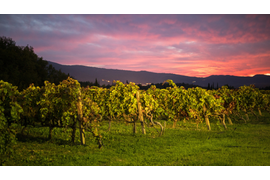Многодневный тур по городам Хорватии.Транспорт-комфортабельный минивэн