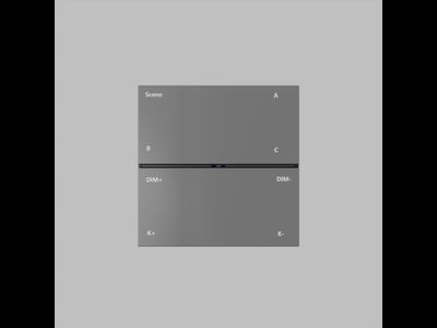 Накладная настенная панель управления CONTROL BT DK7201-DG