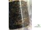 Ficus lutea / фикус Лютея
