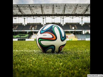 Рулонный газон Спортивный