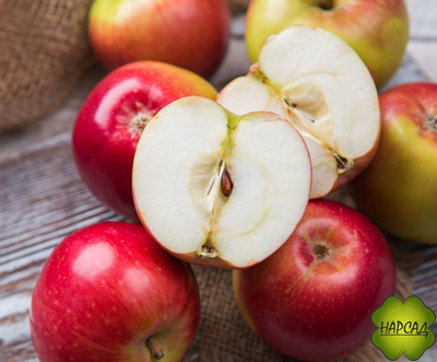 Яблоня "ОРЛИК" (компактная, урожайная, очень сочная) Саженец 3 года