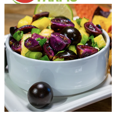 Томат Empress Purple Tomato (Черничный Щербет), 8 шт