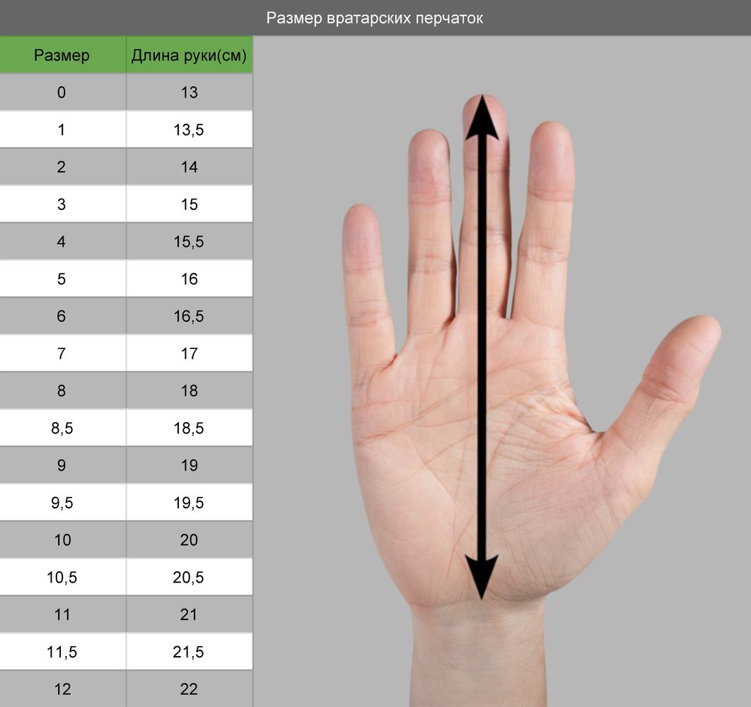 длина члена и пальцы рук в руки фото 3