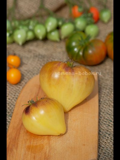 Томат Sgt. Peppers Yellow (Сержант Пеппер Желтый), 10 шт