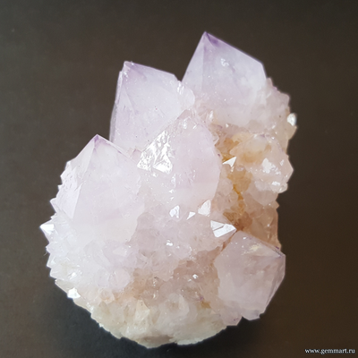 Друза Аметиста - «кактусовый кварц»  U01