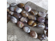 Агат Ботсвана галтовка крупные оливы фри-форм 14-15,5х16-18 мм, цена за нить 20 см