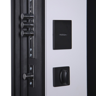 Стальная дверь   Гавана (биометрический замок). Заказная модель.