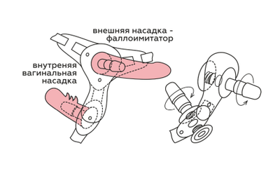 836703 Фаллоимитатор на трусиках Harness Lovetoy
