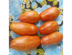 Томат Безумие Кассади (Casady's Folly)