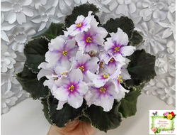 Dn-Love Time (Д. Денисенко) 2021 г.