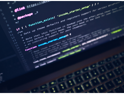 ПРОГРАММНОЕ ОБЕСПЕЧЕНИЕ