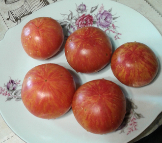 Семена томата Малиновая зебра Козула 138