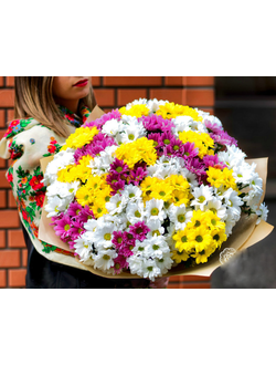 Букет из 35 кустовых хризантем
