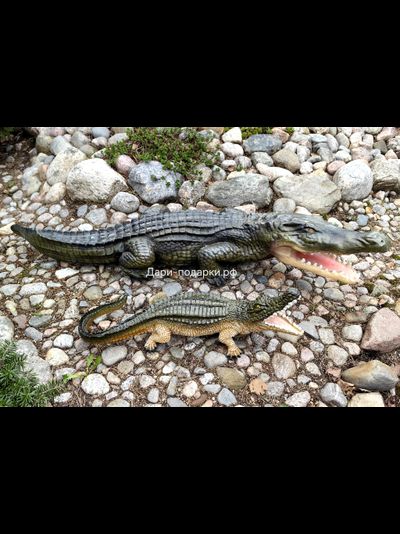 Крокодил 15*40см   1,2кг   полистоун Россия 1844/012457*